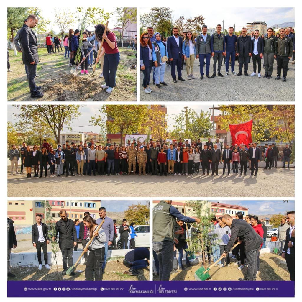 11 Kasım Milli Ağaçlandırma Günü
